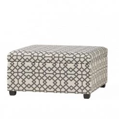 Achilles Grey Geometric Patterned Fabric Storage Ottoman by Noble House