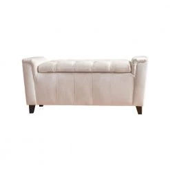 Argus Ivory New Velvet Armed Storage Bench by Noble House