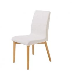 Helen Light Beige Dining Chairs (Set of 2) by Noble House