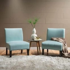 Kassi Light Blue Fabric Accent Chairs (Set of 2) by Noble House