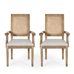 Aisenbrey Light Gray and Natural Wood and Cane Arm Chair (Set of 2) by Noble House