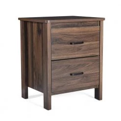 Hysham 2 Drawer Medium Brown Nightstand by Noble House